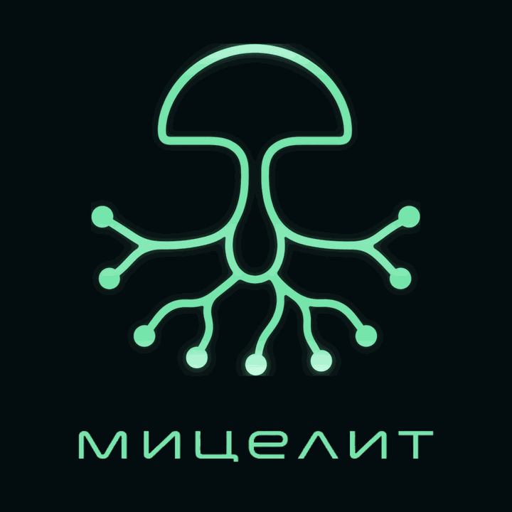 Мицелит